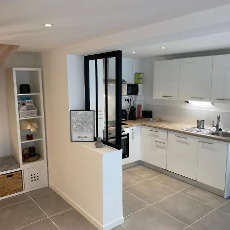 Le Palm ✧ Duplex Centre Historique רואן